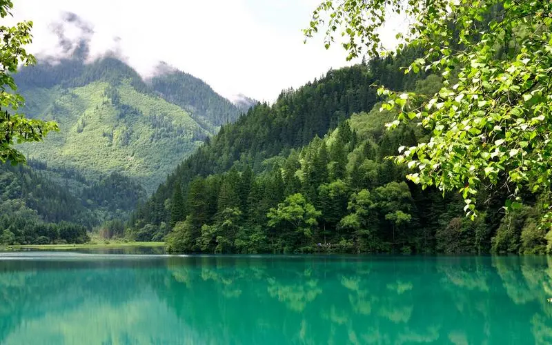 信息化科技稳定性
